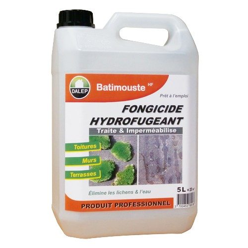 DALEP BATIMOUSTE HF Fongicide Hydrofugeant Prêt à l’Emploi (5L)