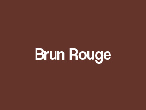DALEP HYDRO-ROC COLOR ROUGE BRUN (5L) – Image 2