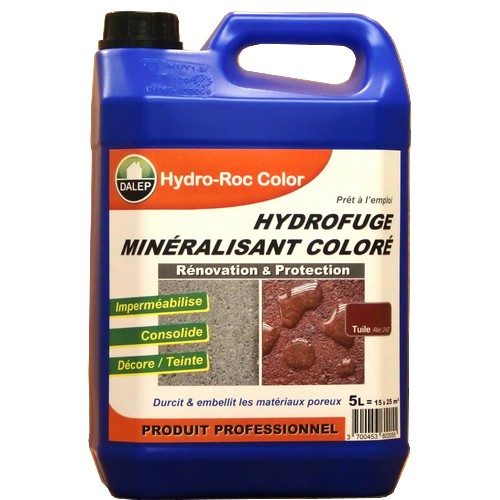 DALEP HYDRO-ROC COLOR BRUN ORANGE (5L)